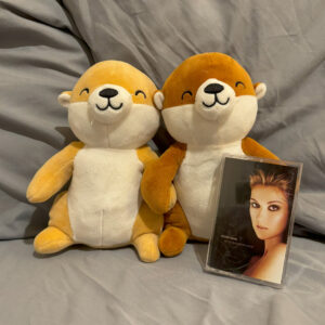 pair of otters stuffed animal joined at the hands with Celine Dion cassette tape